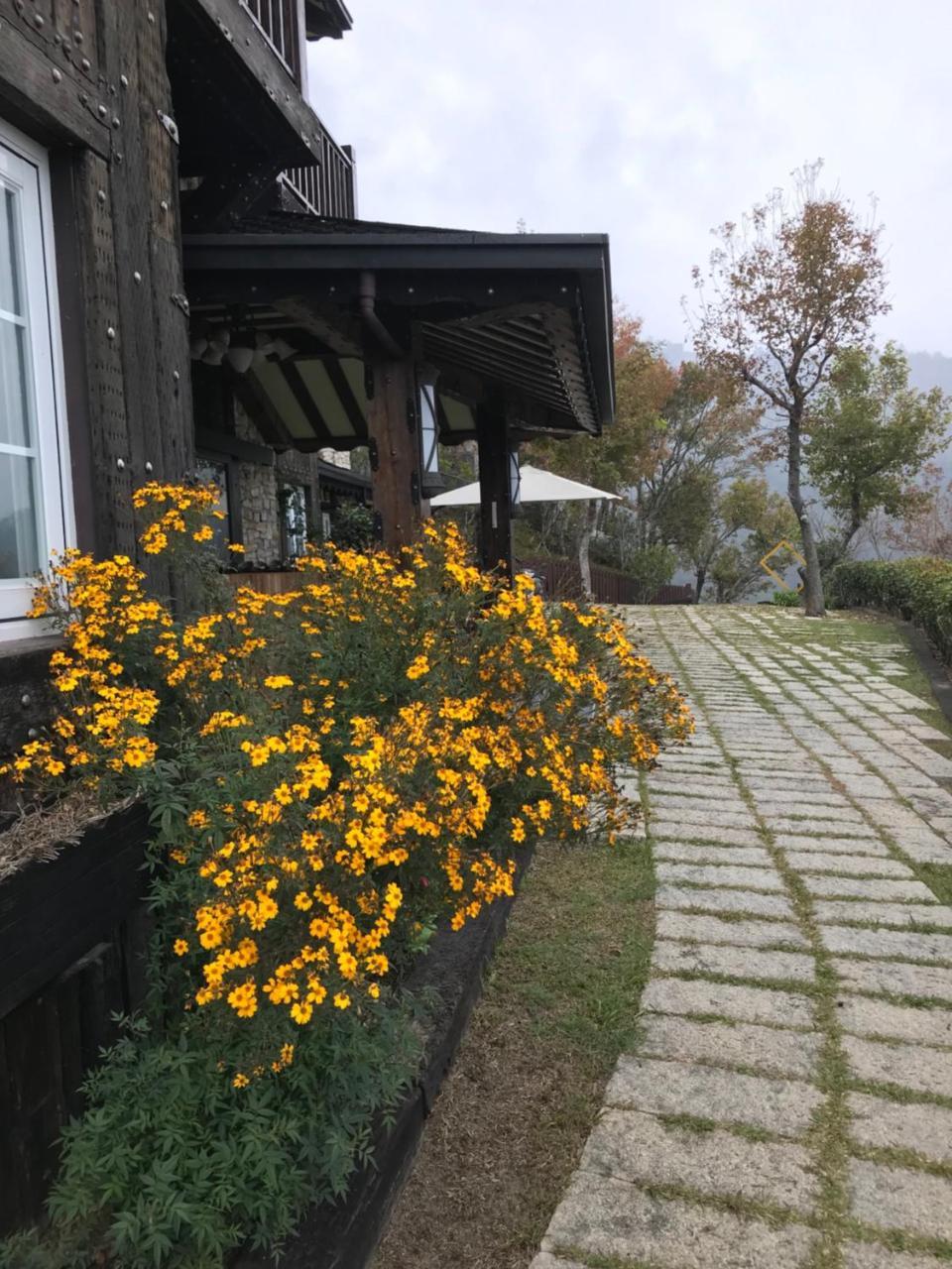 Black Forest Manor Ренай Экстерьер фото